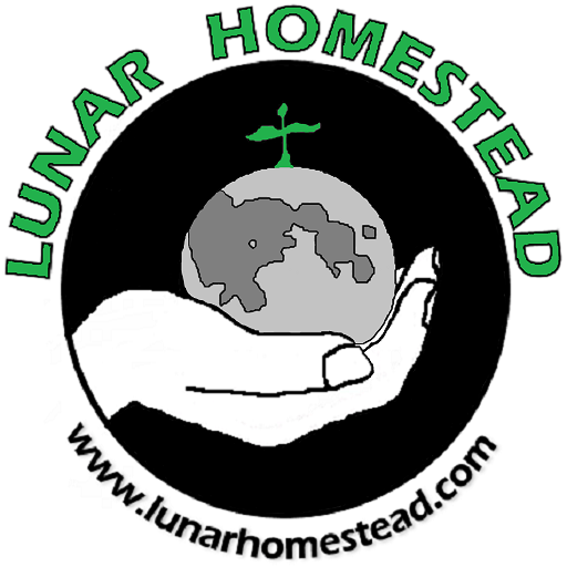 Lunar Homestead